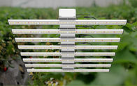 Thanh điều chỉnh LED Herb Grow Light Công suất 550W Vật liệu nhôm Tuân thủ CE