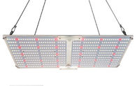 AC85 - 265V Đèn Led trong nhà kính Grow Panel nhẹ Thân đèn bằng hợp kim nhôm