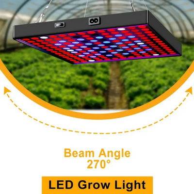 Đèn phát triển thực vật đầy đủ quang phổ LED 50w 80W Đèn xanh đỏ cho nhà kính