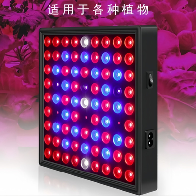 Đèn phát triển thực vật đầy đủ quang phổ LED 50w 80W Đèn xanh đỏ cho nhà kính