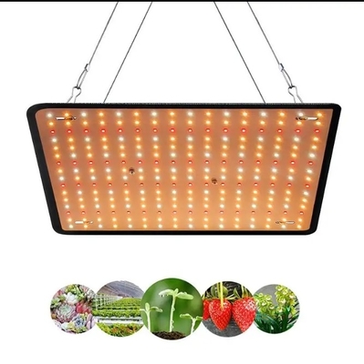 Mô hình kinh tế Đèn phát triển thực vật toàn phổ Đèn xanh đỏ Đèn xanh để chiếu sáng nhà kính