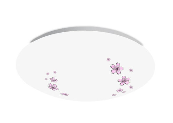 Đèn LED gắn trần hình tròn PMMA 18 Watt AC175-265V AN-XD-JY-18-01