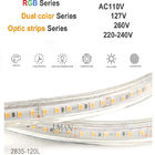 12V DC RGB 2835 2700K 30LEDS + 2835 6500K 30LEDS Đèn LED dải LED RGBW linh hoạt thông minh