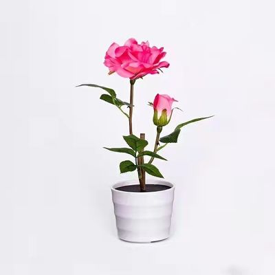 Ip65 Cri70 3 năm bảo hành 110lum 3 chiếc Đèn hoa năng lượng mặt trời Led